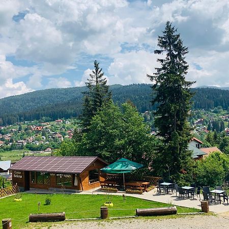 Casa Belcin Spa&Retreat Buşteni Eksteriør billede