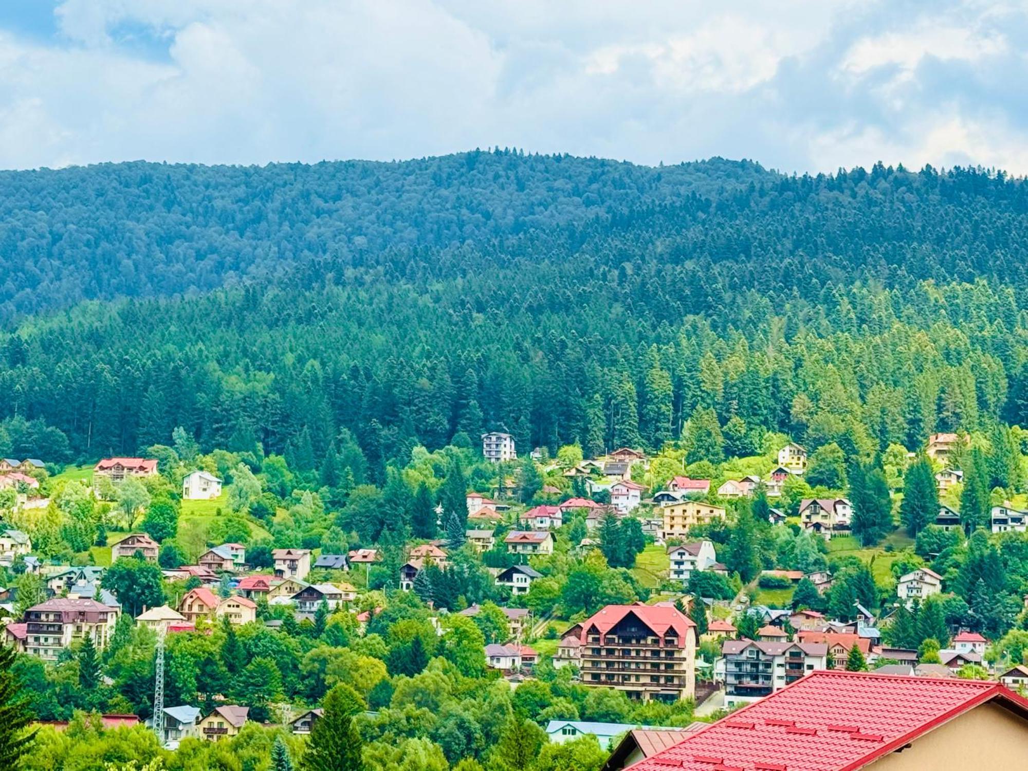 Casa Belcin Spa&Retreat Buşteni Eksteriør billede