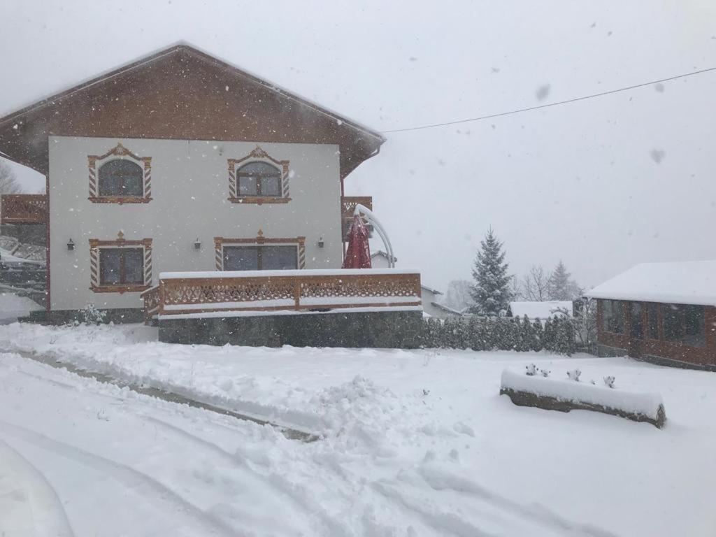 Casa Belcin Spa&Retreat Buşteni Eksteriør billede